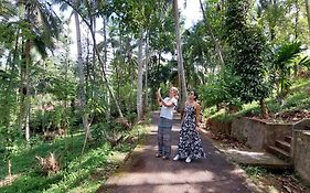 Windy Ridge Kandy